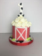 Farm House Smash Cake