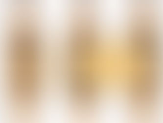 Agenda | Apresentação do livro "A centralidade de Abrantes e os portos fluviais do Tejo"