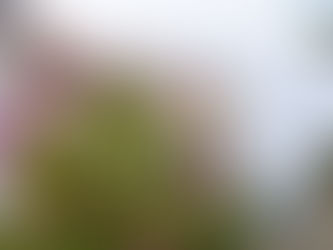 Bom dia | Centro Histórico de Abrantes