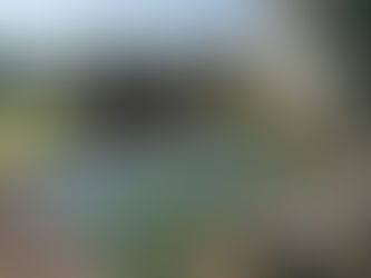 | Foto-Postal em Mouriscas