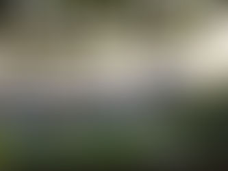 Curiosidades | Igreja de S. João Baptista