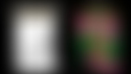 Agenda | Cinema em Tramagal