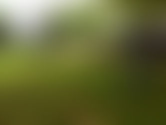 | Parque do Alto de Santo António