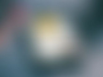 Newsletter Notável Abrantes - edição nº 1