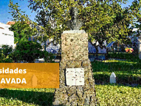 #patrocinado | Curiosidades | Concavada