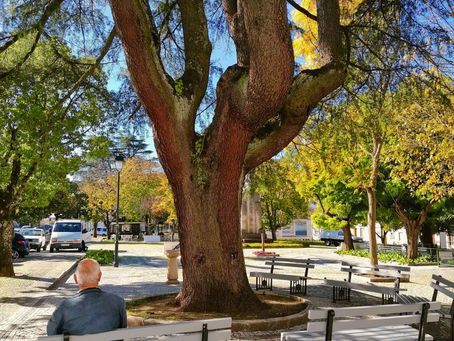 Jardim da República