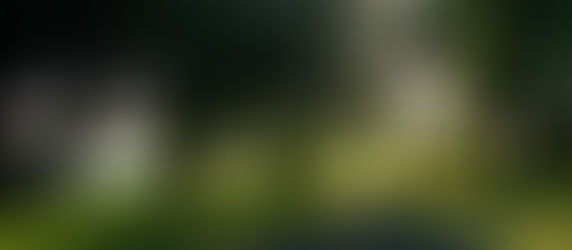 | Foto-Postal em Rio de Moinhos