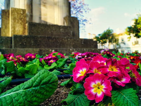 Pormenores no Centro Histórico de Abrantes