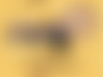 Agenda | VI Encontro de Música Popular e Tradicional Portuguesa