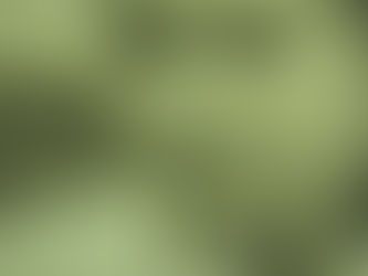 Agenda | Lançamento do livro: "Saudades"