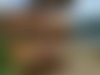 A Praia Fluvial de Fontes pode ser o seu ponto de partida