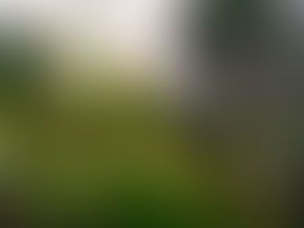 | Parque do Alto de Santo António