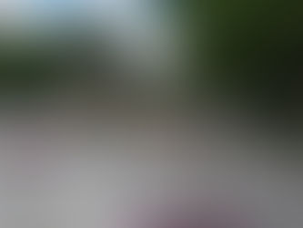 Jardim da República