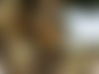 Pormenores em Martinchel