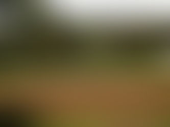 #patrocinado | Tardes tranquilas em Bemposta