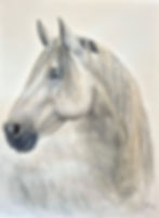 CrinBlanc