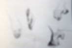 studies with pen