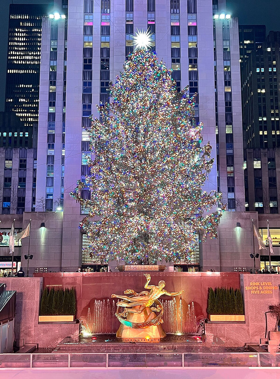 Rockfeller Center - Christmas Tree