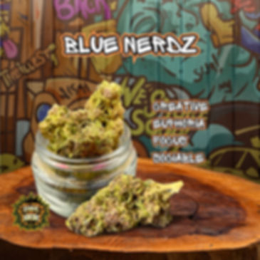 Blue Nerdz - Mid