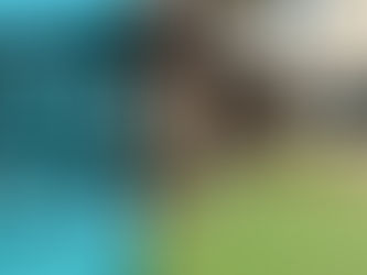 What are the Benefits of a Pergola for Outdoor Living Spaces Discover Now!