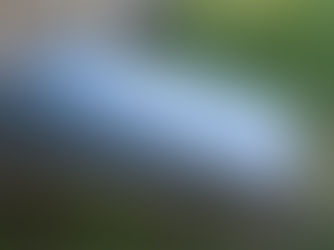 Building a Storm Shelter Essential Tips for Safety and Security