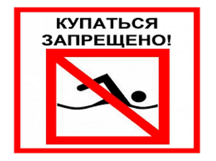 Без названия.png