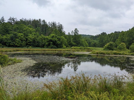 Meigs Conservation Area