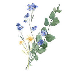 Transparent Logo Flowers