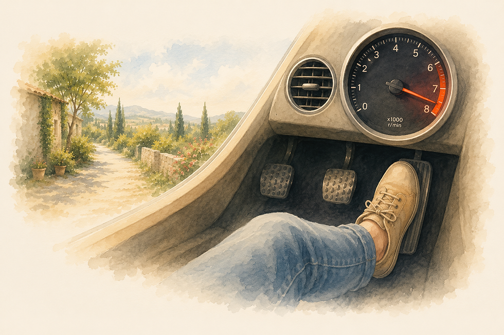 Illustratie van een gaspedaal en rempedaal als metafoor voor het autonome zenuwstelsel en de balans tussen actie en herstel.