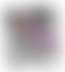 Why Is SISC Is a good school