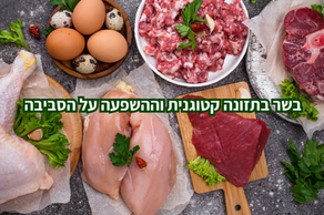 בשר בתזונה קטוגנית וההשפעה על הסביבה