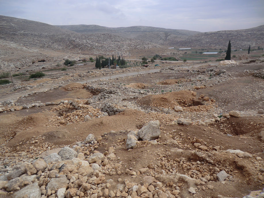 נוף סלעי מדברי עם חפירות, גבעות ועצים ירוקים מרחוק