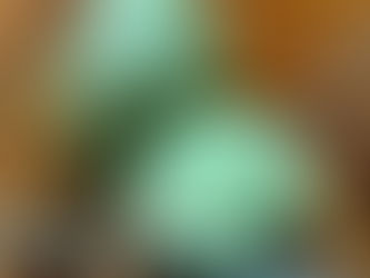 גלידת אבוקדו!