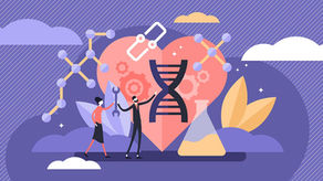 איך גופי קטו ובעיקר BHB משפיעים על הלב שלנו