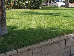 תחזוקת גינות תכנון והקמת מערכות השקיה ממוחשבת