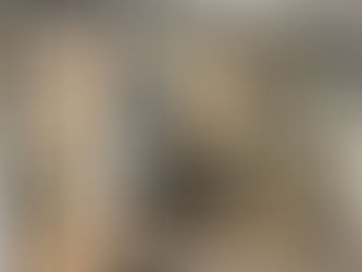 משקופים אקוסטיים – חובה בכל דלת ומחיצה