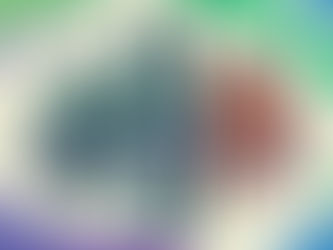 דיאטה קטוגנית ואבני כליה 