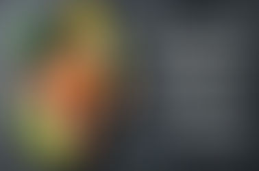 המסע של הדיאטה הקטוגנית – מהיפוקרטס ועד ימינו