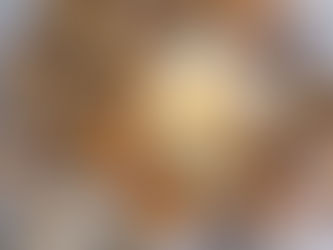 גבינת מאנורי עם שרי וצנוברים 