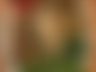 פלטת ירקות של יגאל