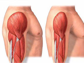 כמה חשובה הפעילות הגופנית ומה זה HMB 