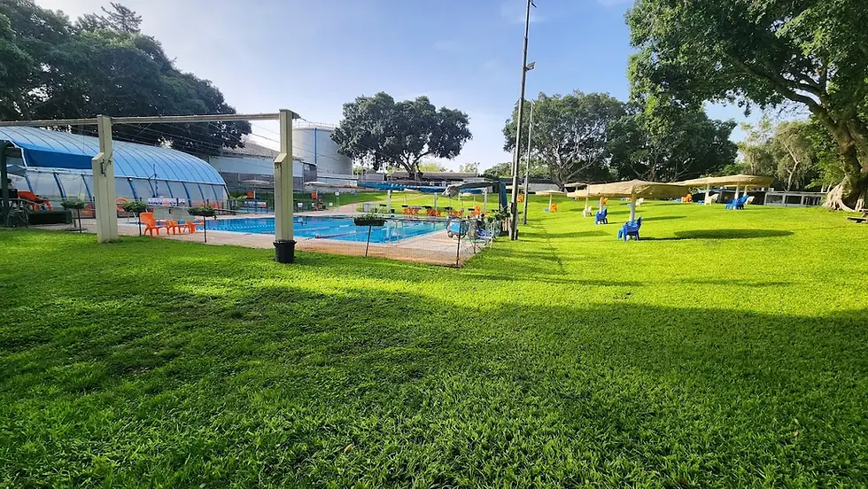 מתקני הבריכה