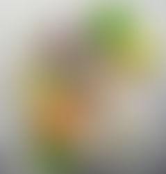 תרכובות טבעיות במזון שמשפיעות על ספיגת מינרלים – ומה עושים איתן?