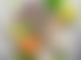 תרכובות טבעיות במזון שמשפיעות על ספיגת מינרלים – ומה עושים איתן?