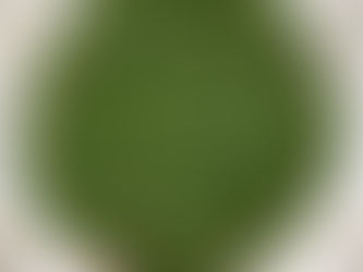 סלט רוקט של רוני בהשראת מסעדת משיה (4 מנות)