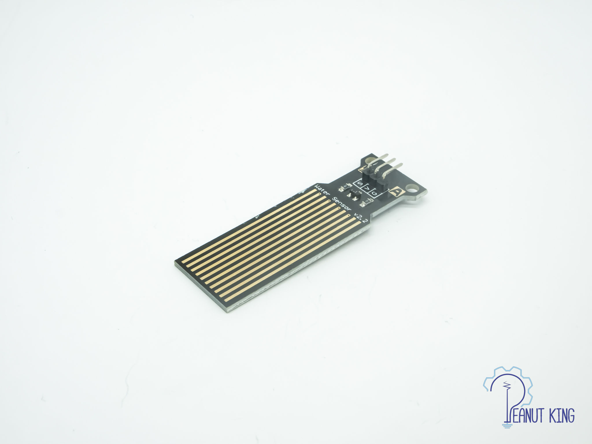 水位感測器 (黑色)