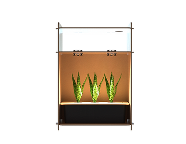 Untitled Project (7) (1).png