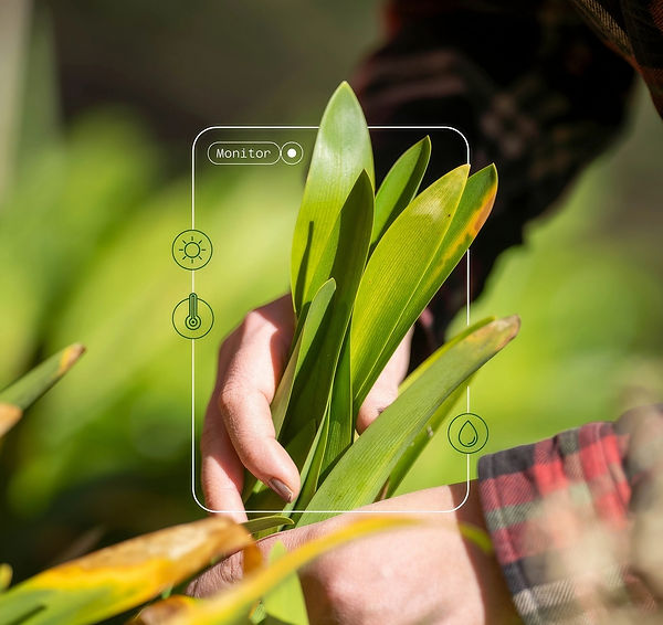Smart farming plant analysis_edited.jpg