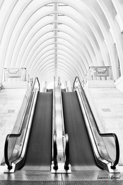 Guillemins