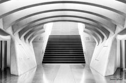 Guillemins